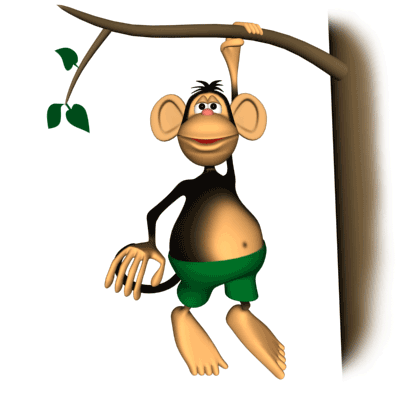 monkey